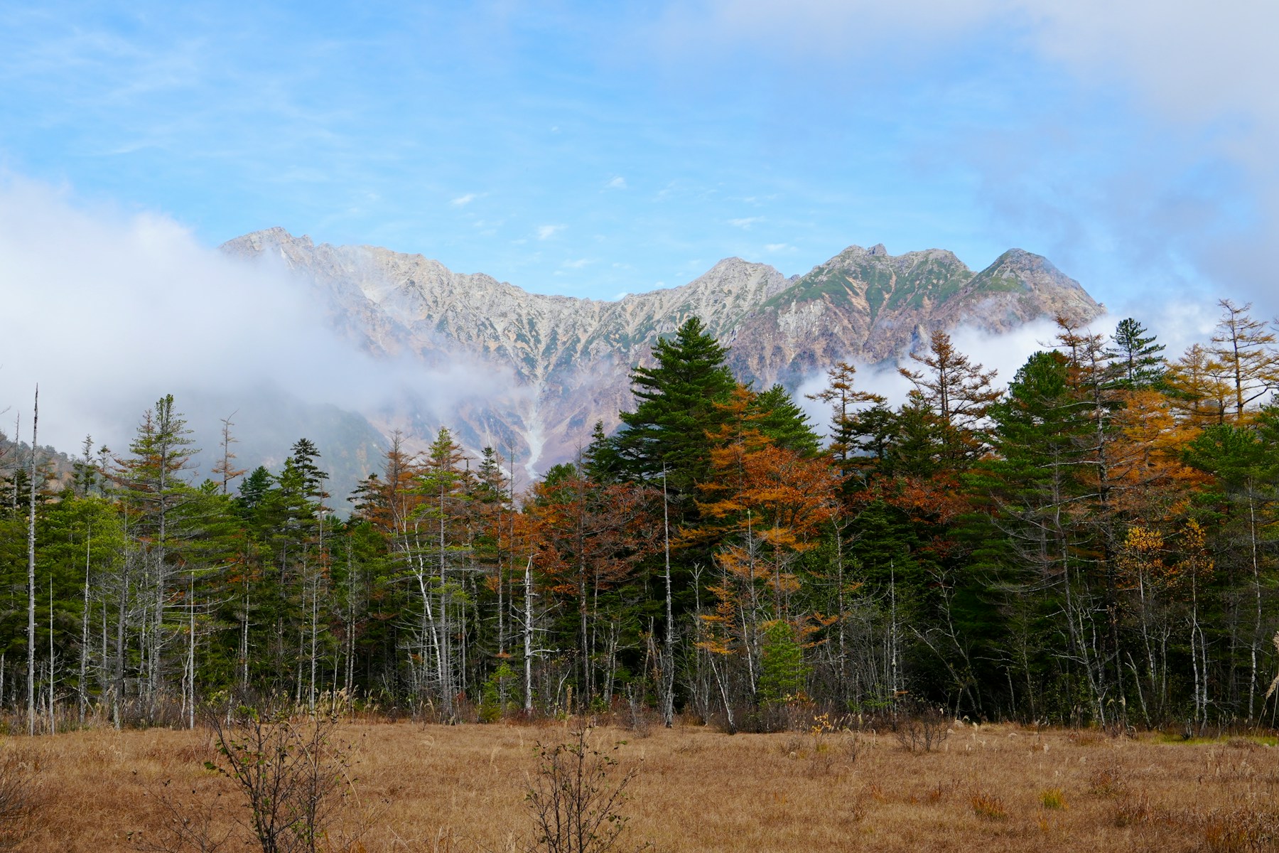 Mountains rise behind a forest.
