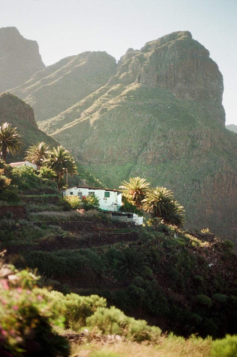 White house on a green mountain slope with palm trees.