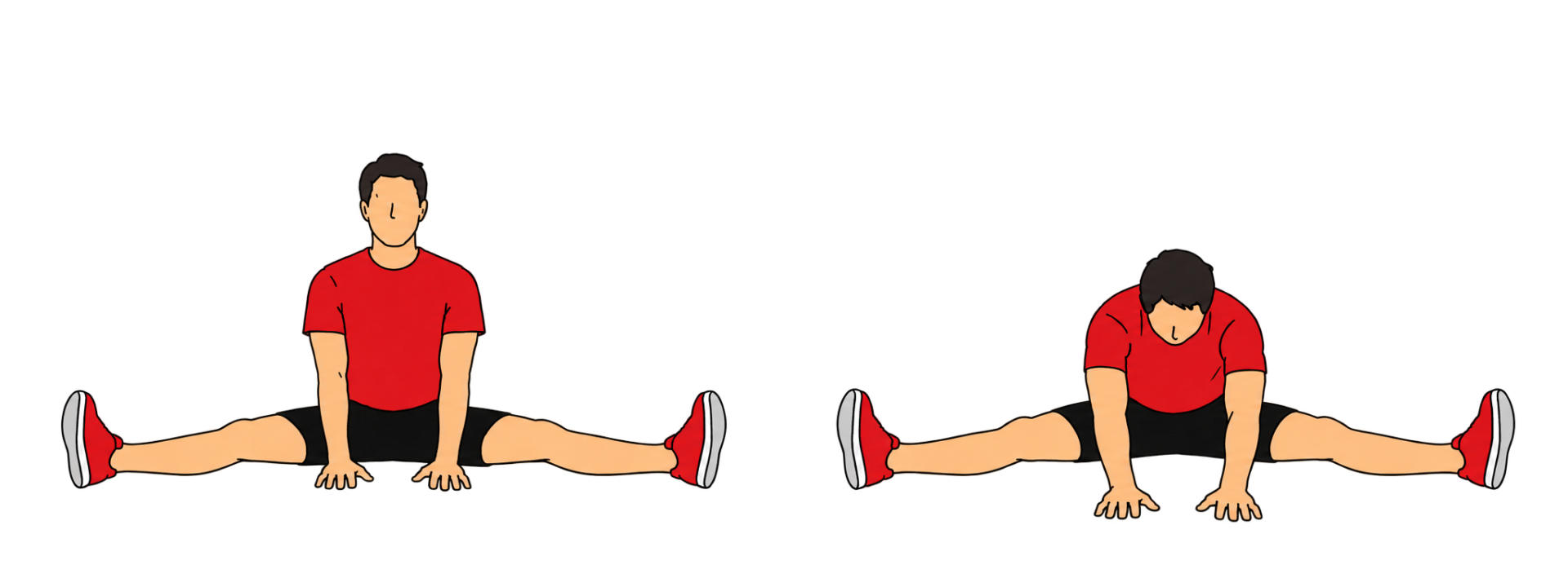 Adductor：Distal（内転筋：遠位）：スタート