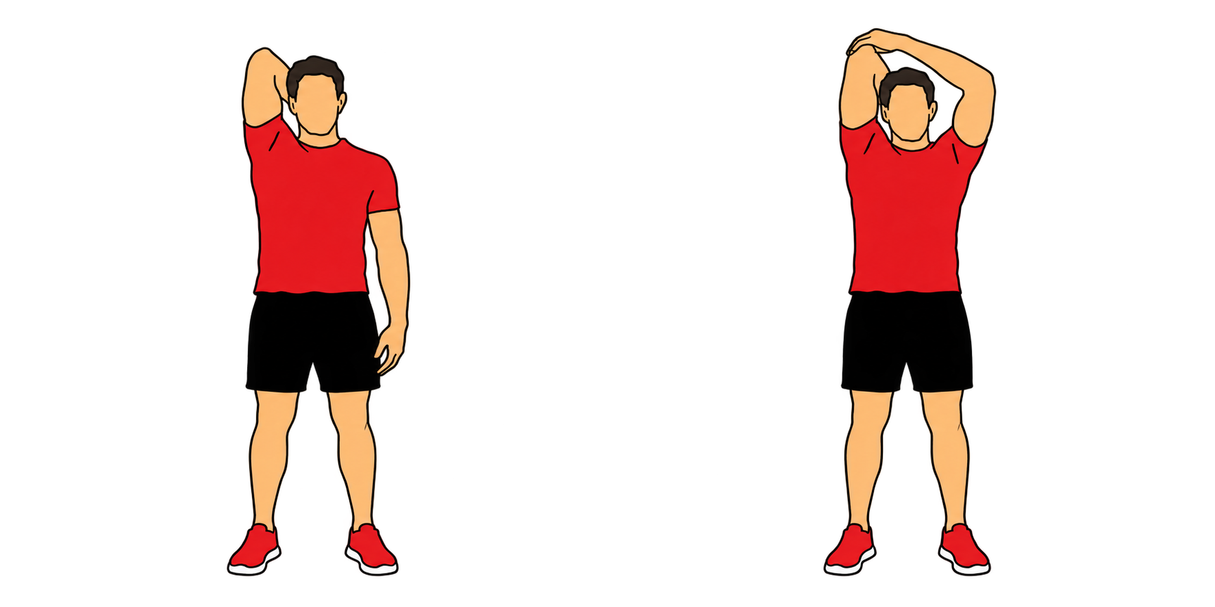 Triceps（上腕三頭筋）：スタート