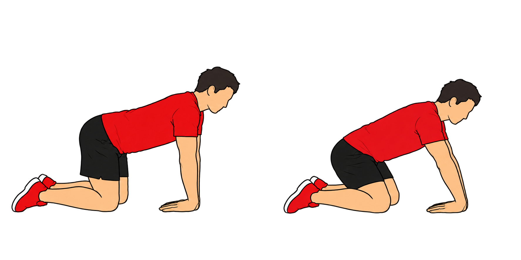 Forearm：Flexor（前腕：屈筋群）：スタート