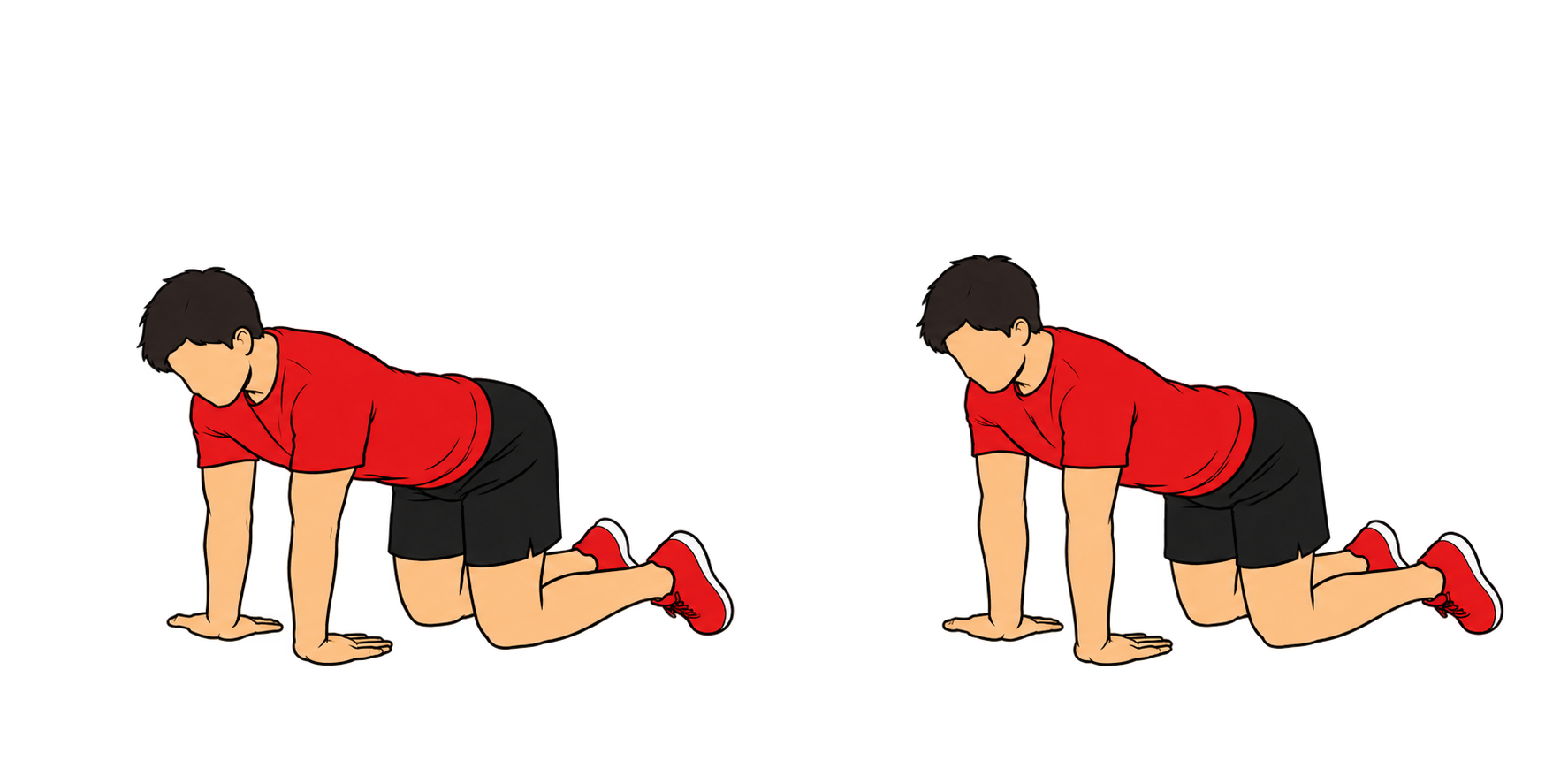 Forearm：Extensor（前腕：伸筋群）：スタート