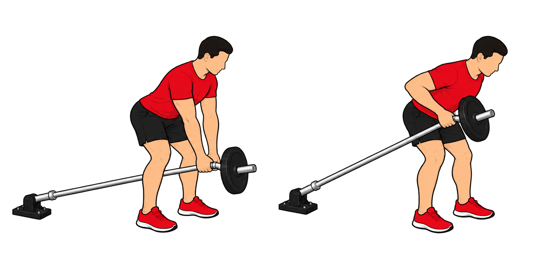 Landmine Bent Over Row（ランドマインベントオーバーロウ）：スタート